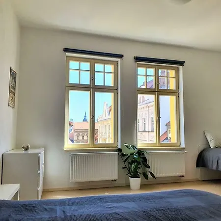 Spacious Luxury In The Center Apartment Pilsen