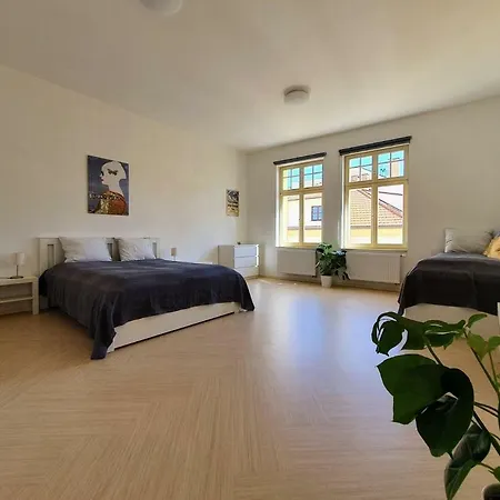 Spacious Luxury In The Center Pilsen
