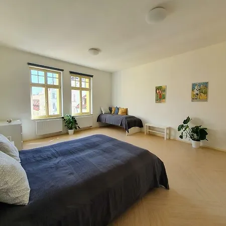 Spacious Luxury In The Center Apartment