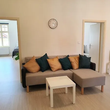 Apartment Spacious Luxury In The Center